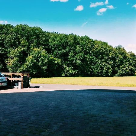 76 Qm Whg Im Eg Haus-Wohlfuehloase Vor Der Haustuer Διαμέρισμα Gladenbach Εξωτερικό φωτογραφία